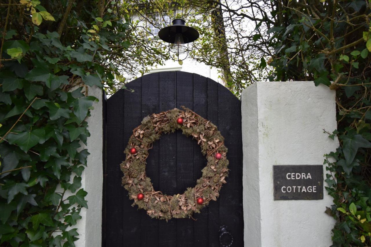 Cedra Cottage - Vintage Country Hideaway Axminster Eksteriør billede