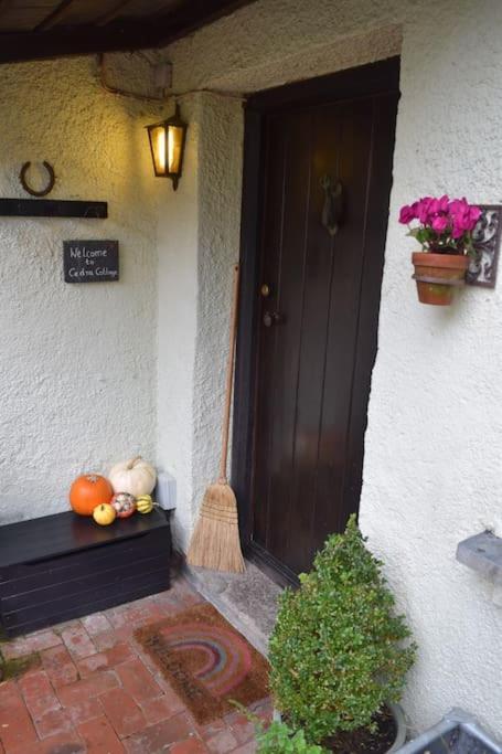Cedra Cottage - Vintage Country Hideaway Axminster Eksteriør billede