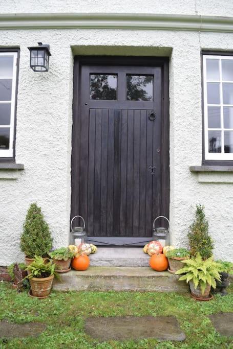 Cedra Cottage - Vintage Country Hideaway Axminster Eksteriør billede